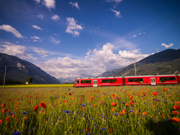 Bonaduz, Graubünden, Schweiz, Switzerland